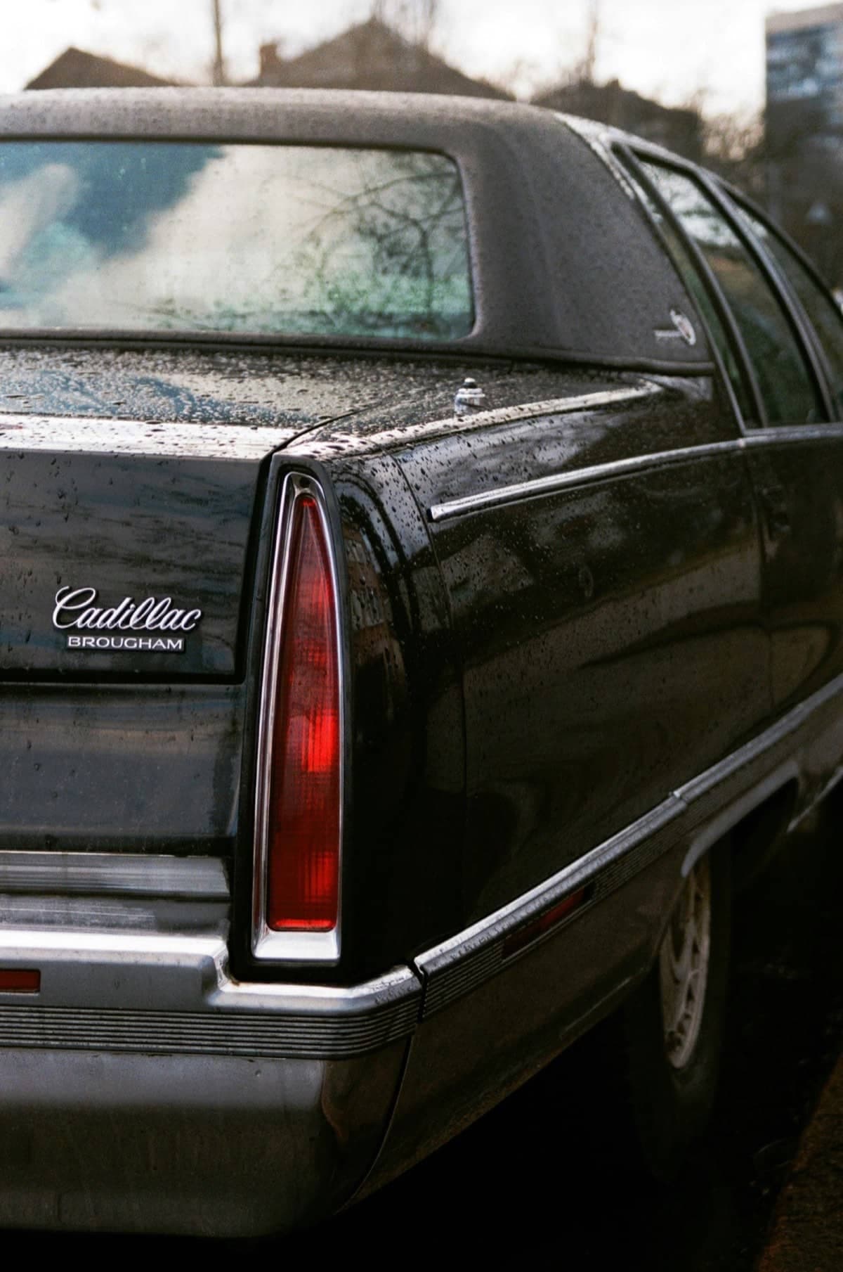 Cadillac, Modelle und Bestand