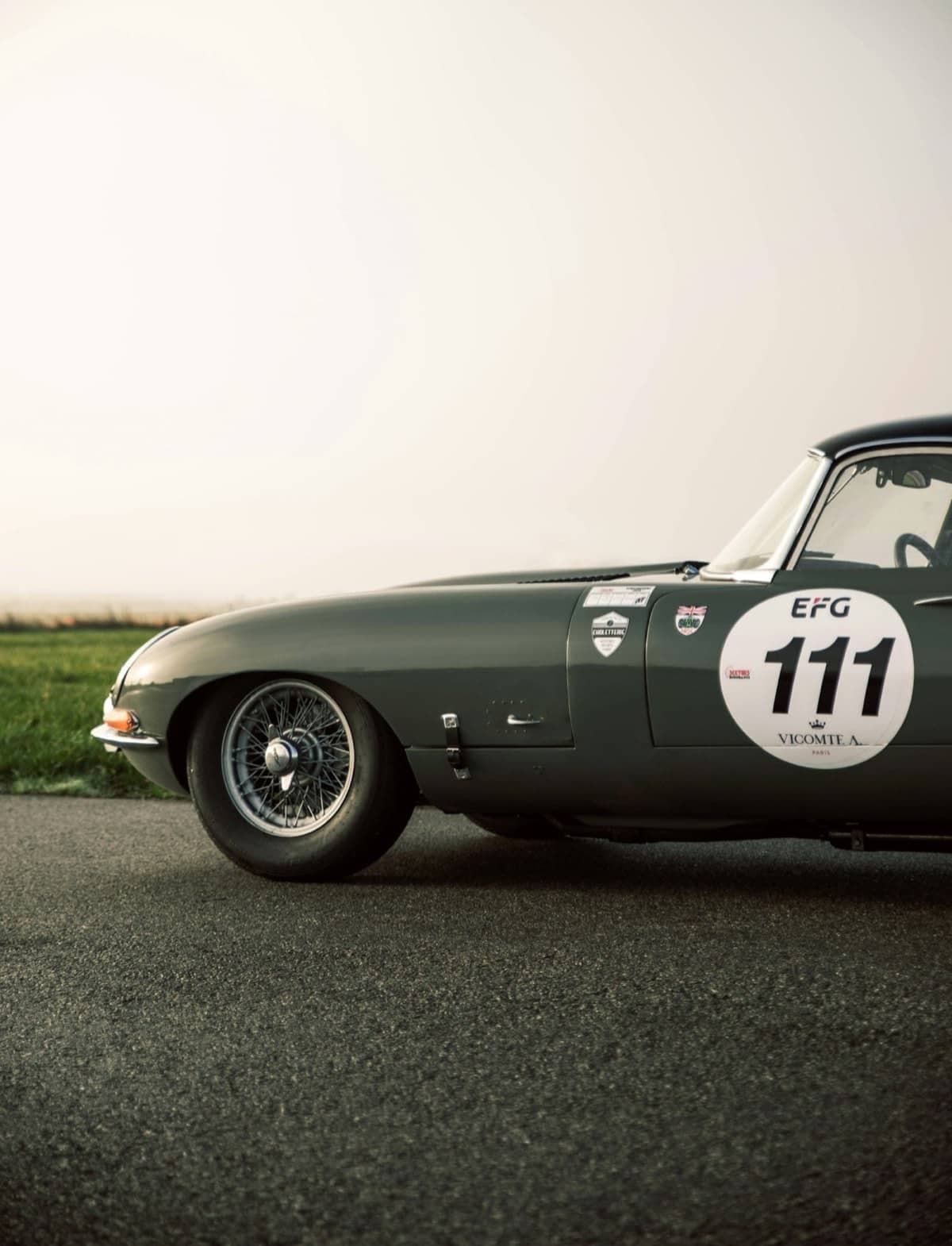 Jaguar, Modelle und Bestand