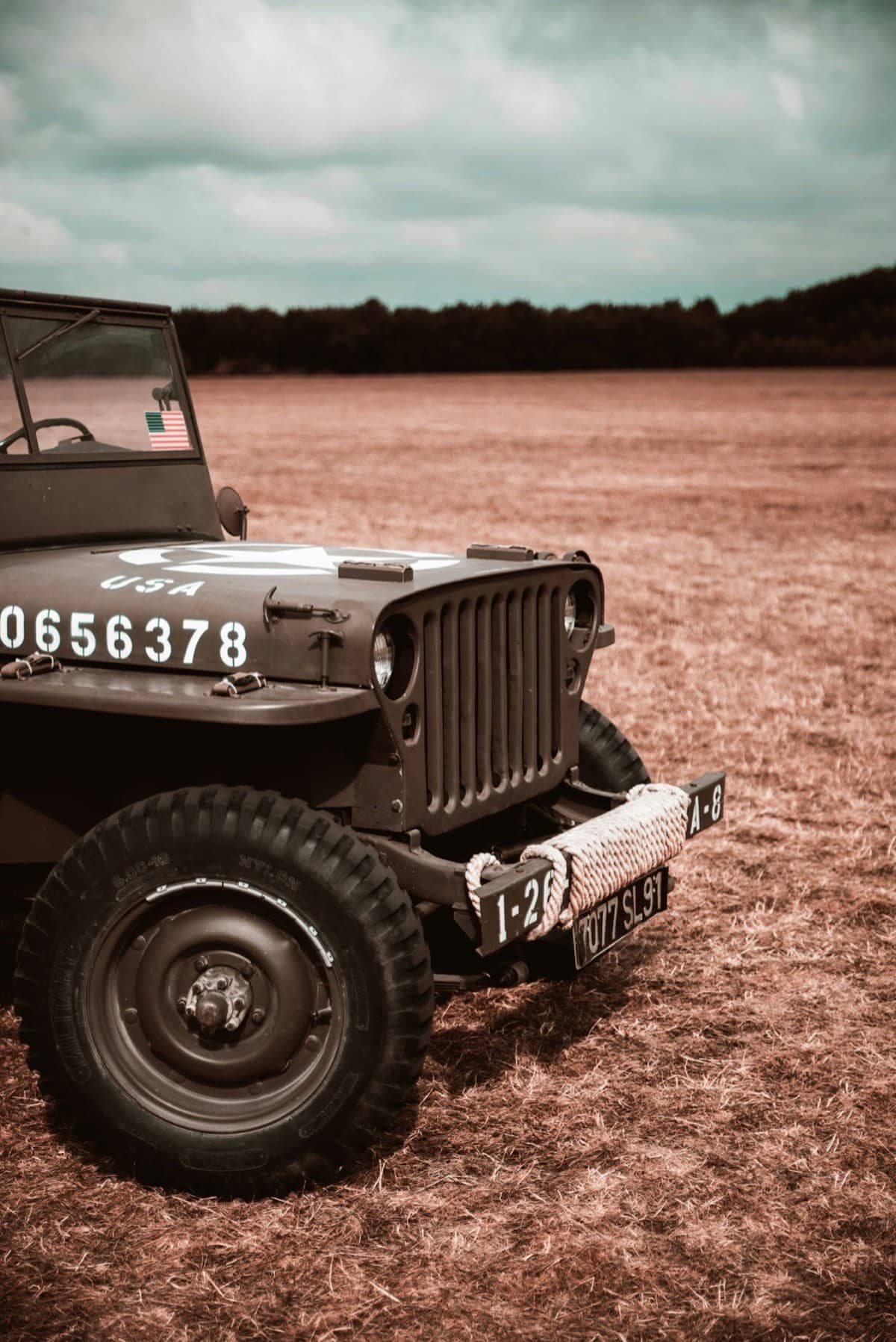 Jeep, Modelle und Bestand