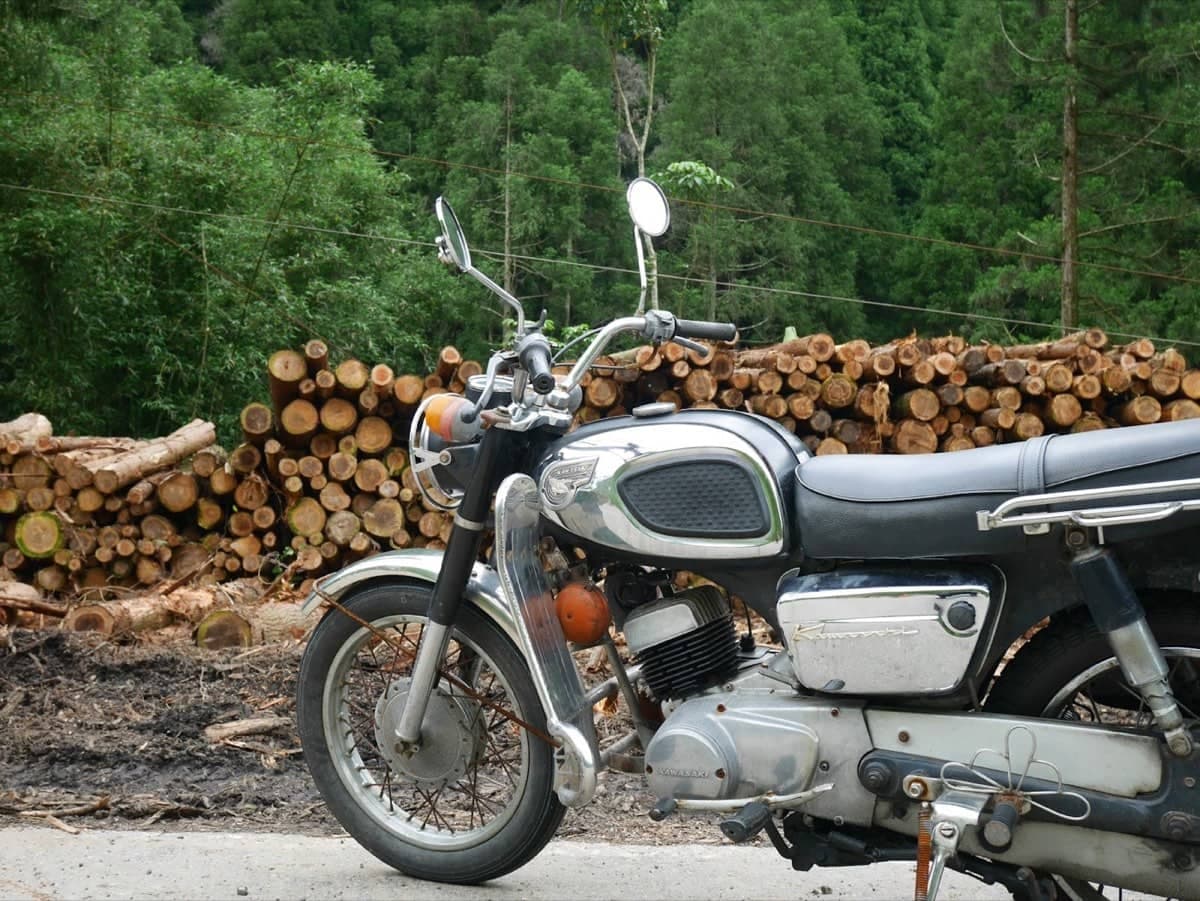 Kawasaki, Modelle und Bestand