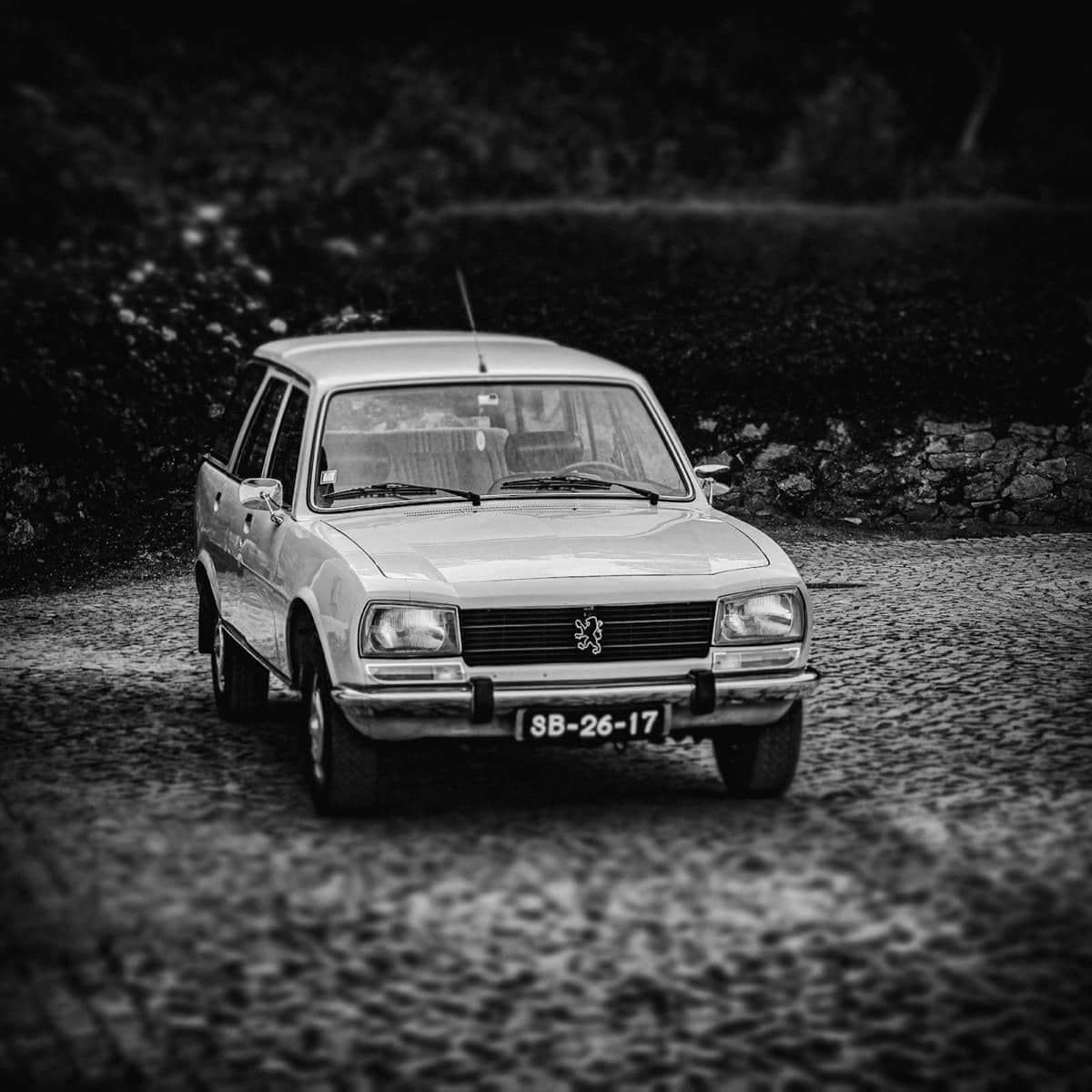 Peugeot, Modelle und Bestand