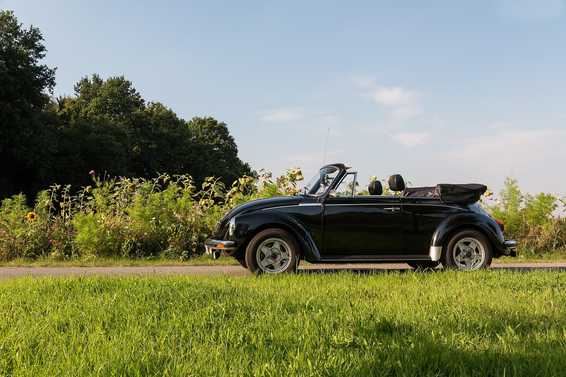 Warum der VW Käfer der beste Einstieg in die Oldtimerwelt ist, Titelbild