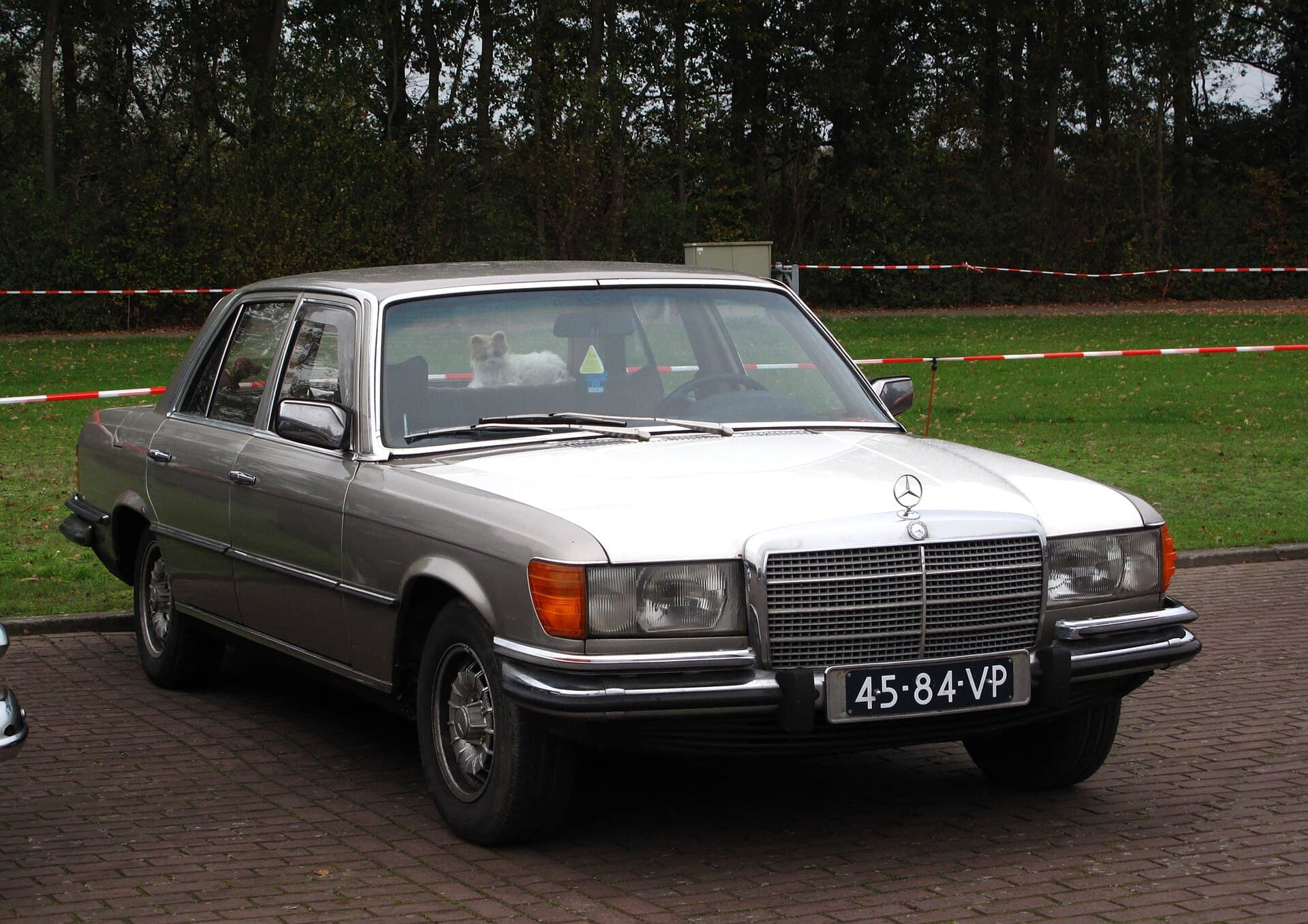 W116 S-Klasse, Titelbild