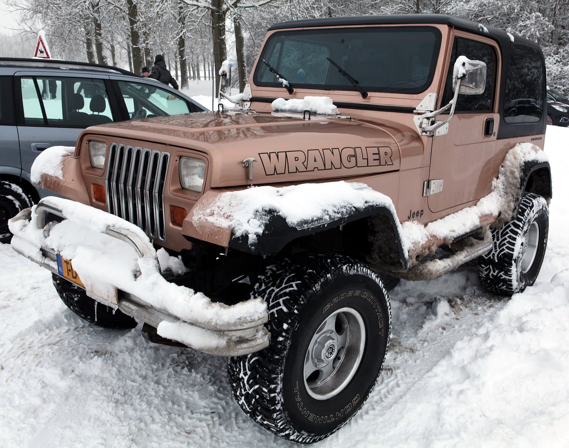 Jeep Wrangler YJ, Modellporträt