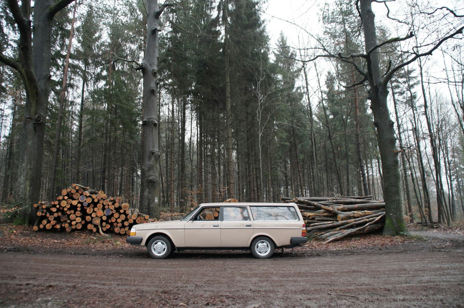 Volvo 240 kaufen: Welcher Motor, wo er rostet, was er kostet, Titelbild