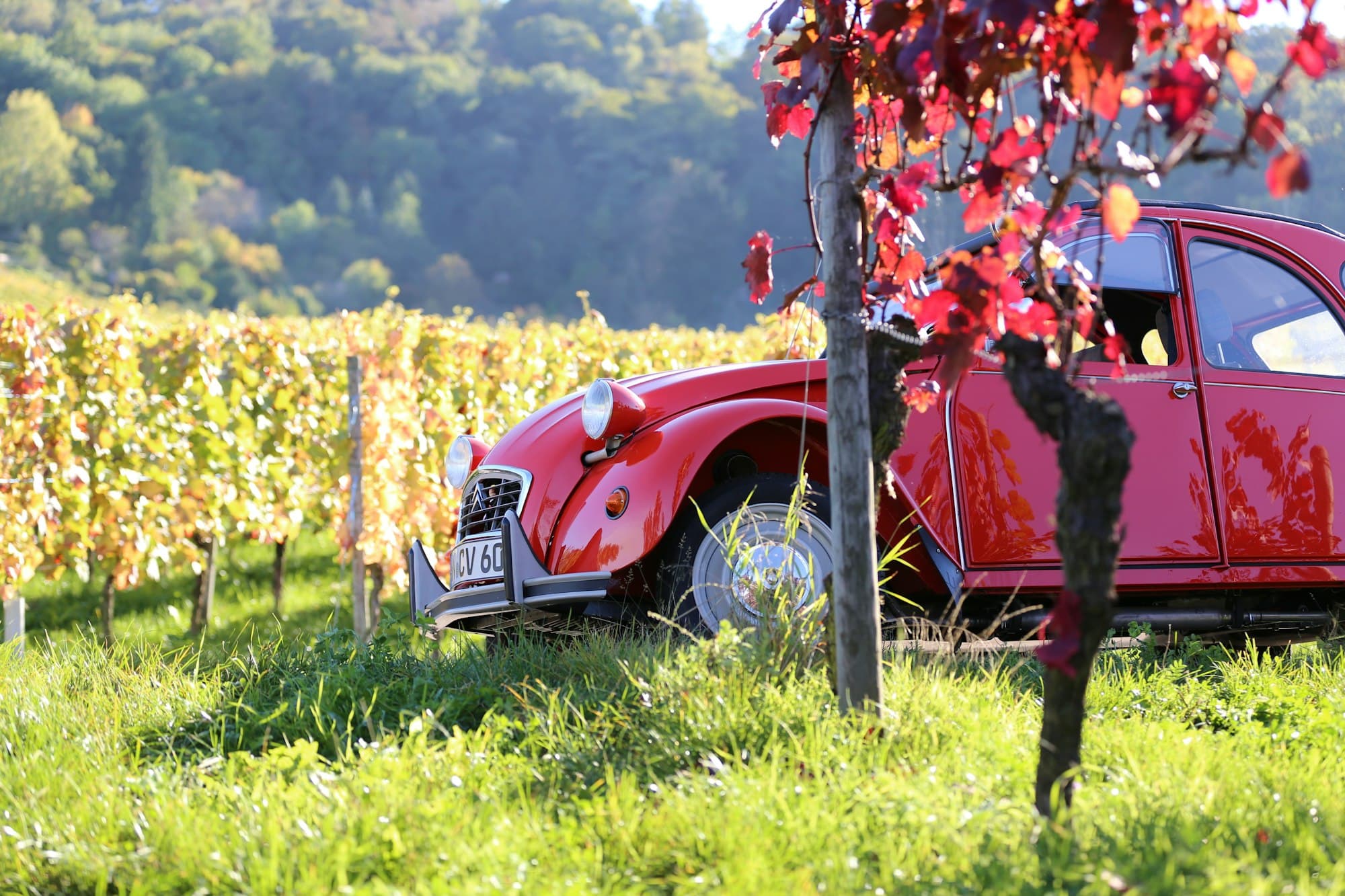 Citroën 2CV, Rostkarte