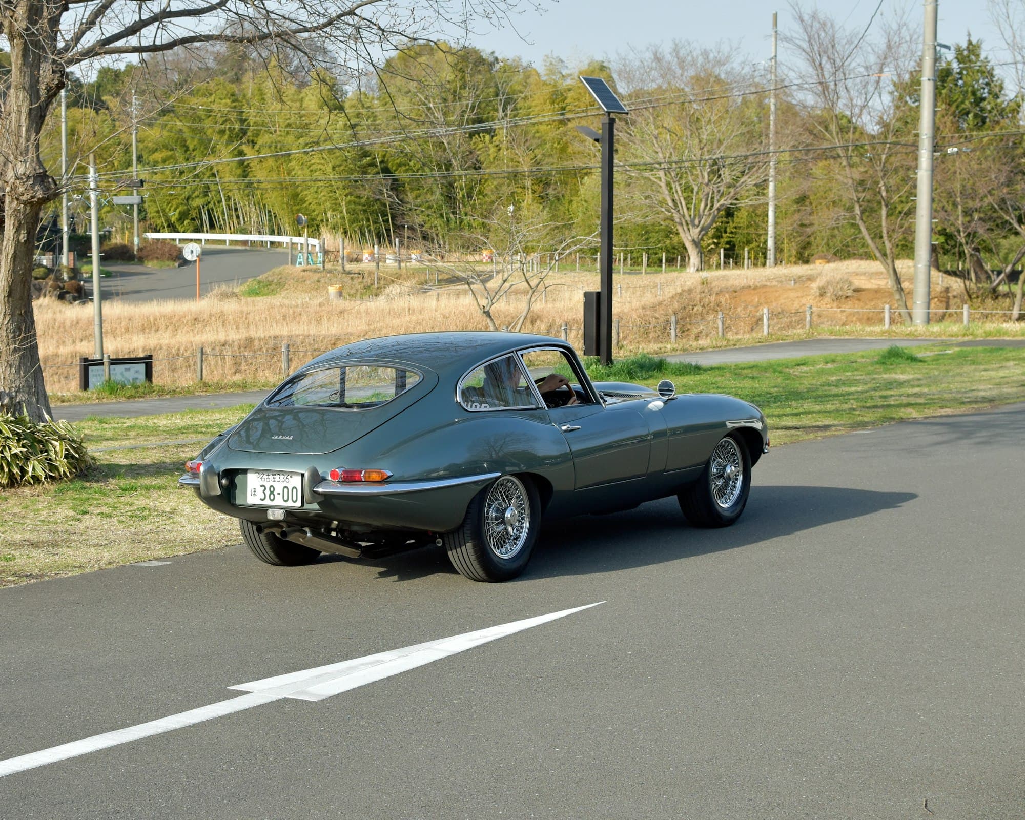 Jaguar E-Type, Rostkarte