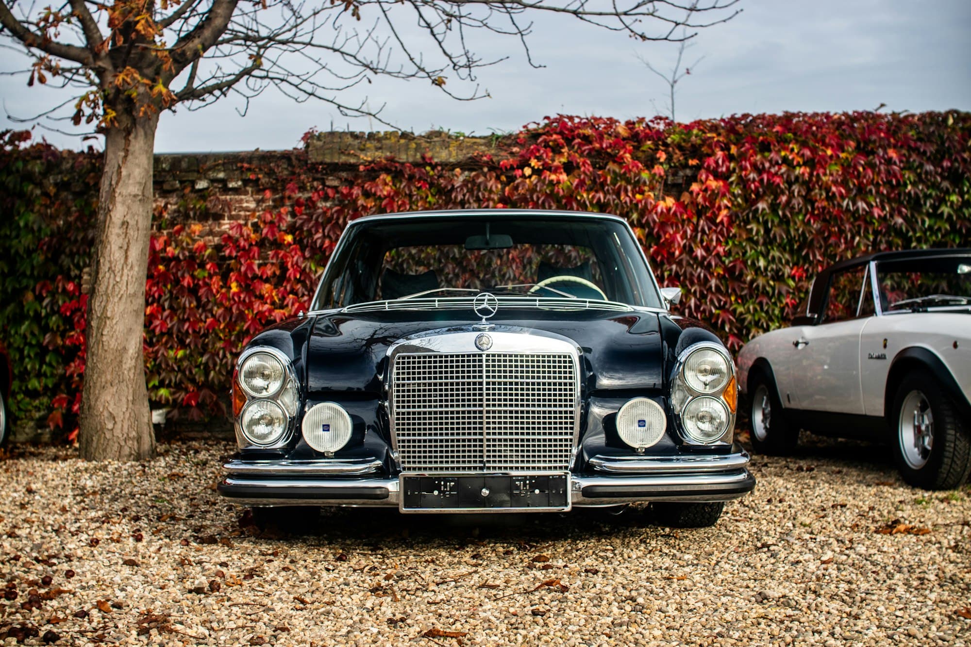 Ein Mercedes W108 im Herbstlaub