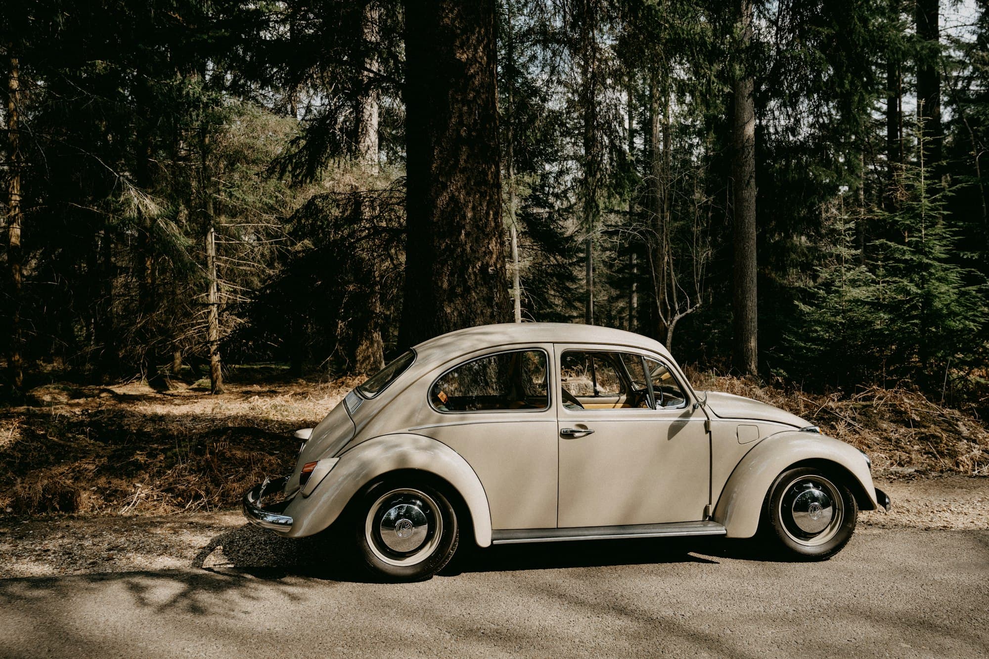 Volkswagen Käfer, Rostkarte