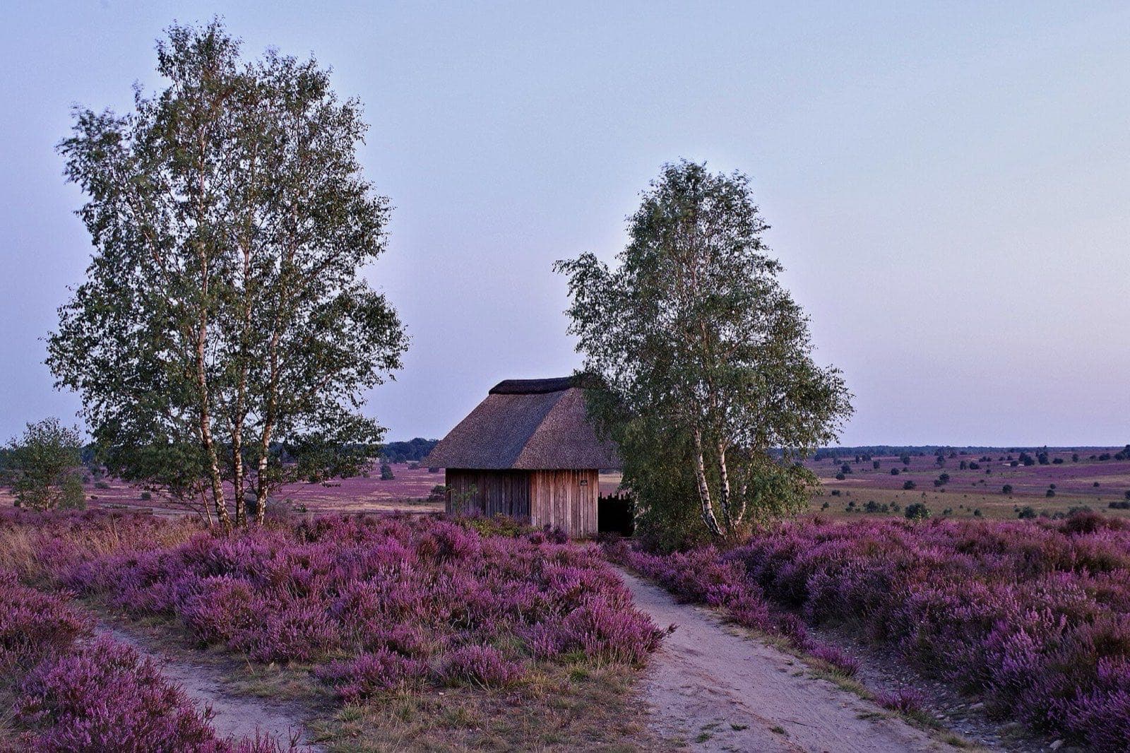 Regionen