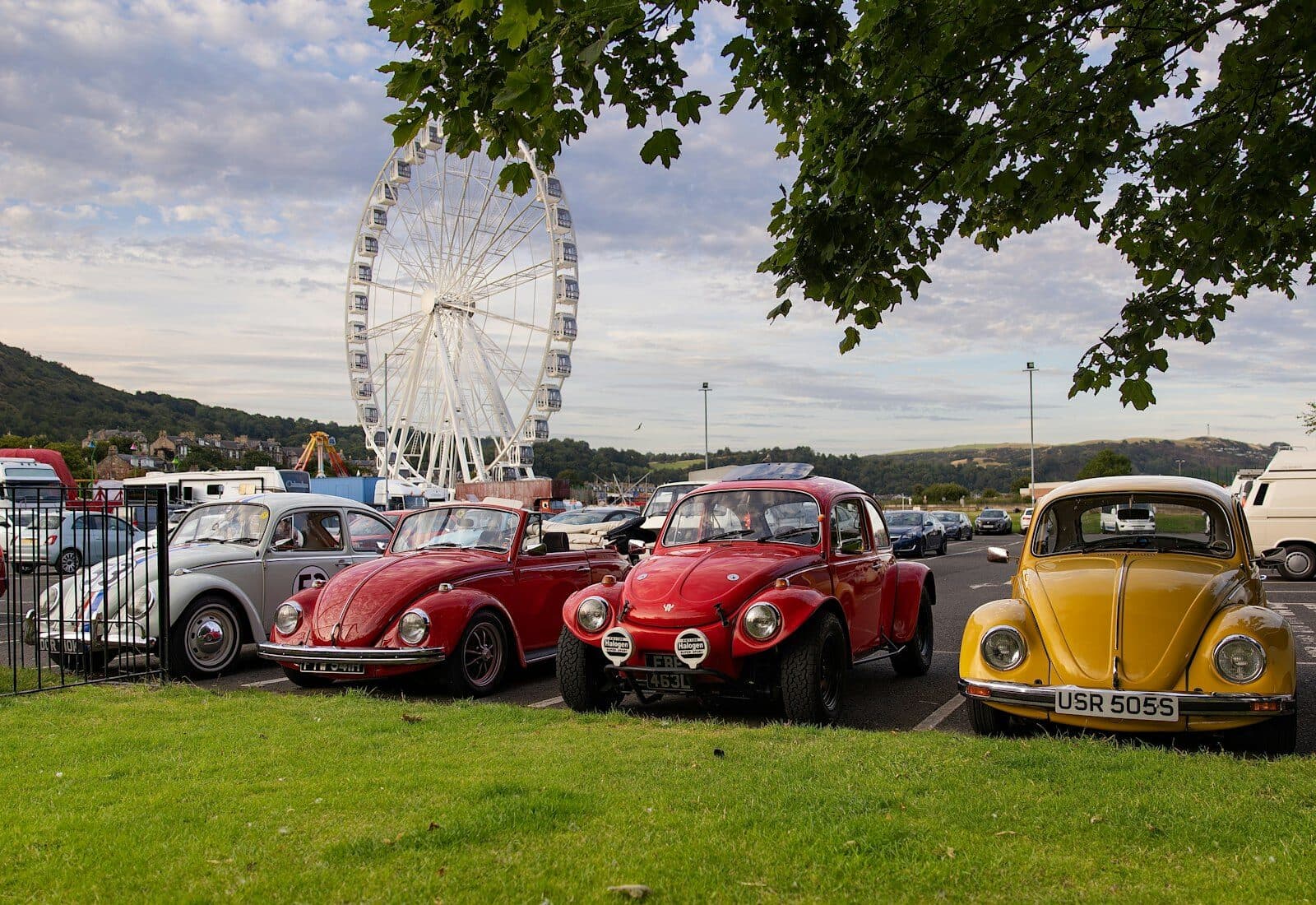Ankommen heißt: einparken, aussteigen, Haube auf. Ab diesem Moment gehört der Wagen für einen Tag zur Ausstellung. Vier klassische VW Käfer nebeneinander auf einem Veranstaltungsgelände