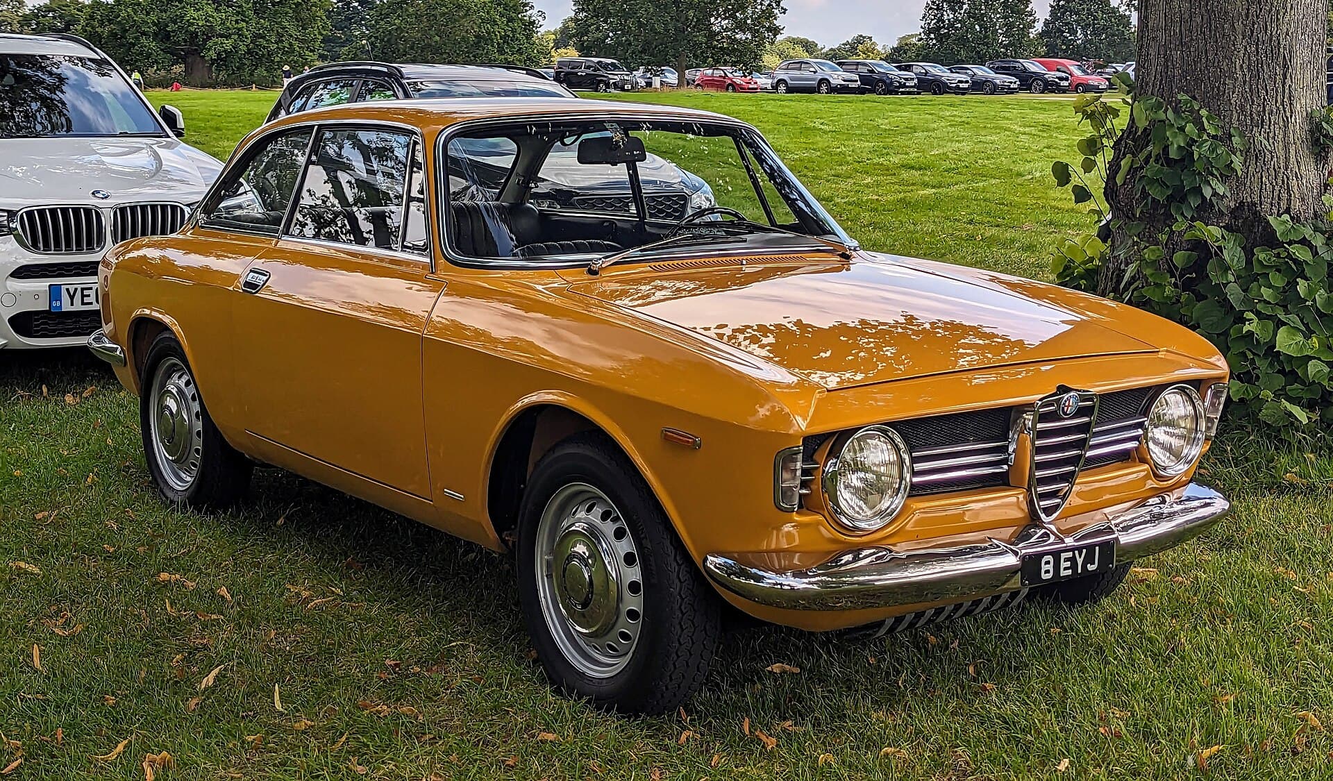 Das Giulia-Coupé von Bertone: Giugiaros Linie auf der Technik der Limousine. Eine Alfa Romeo Giulia GT von Bertone