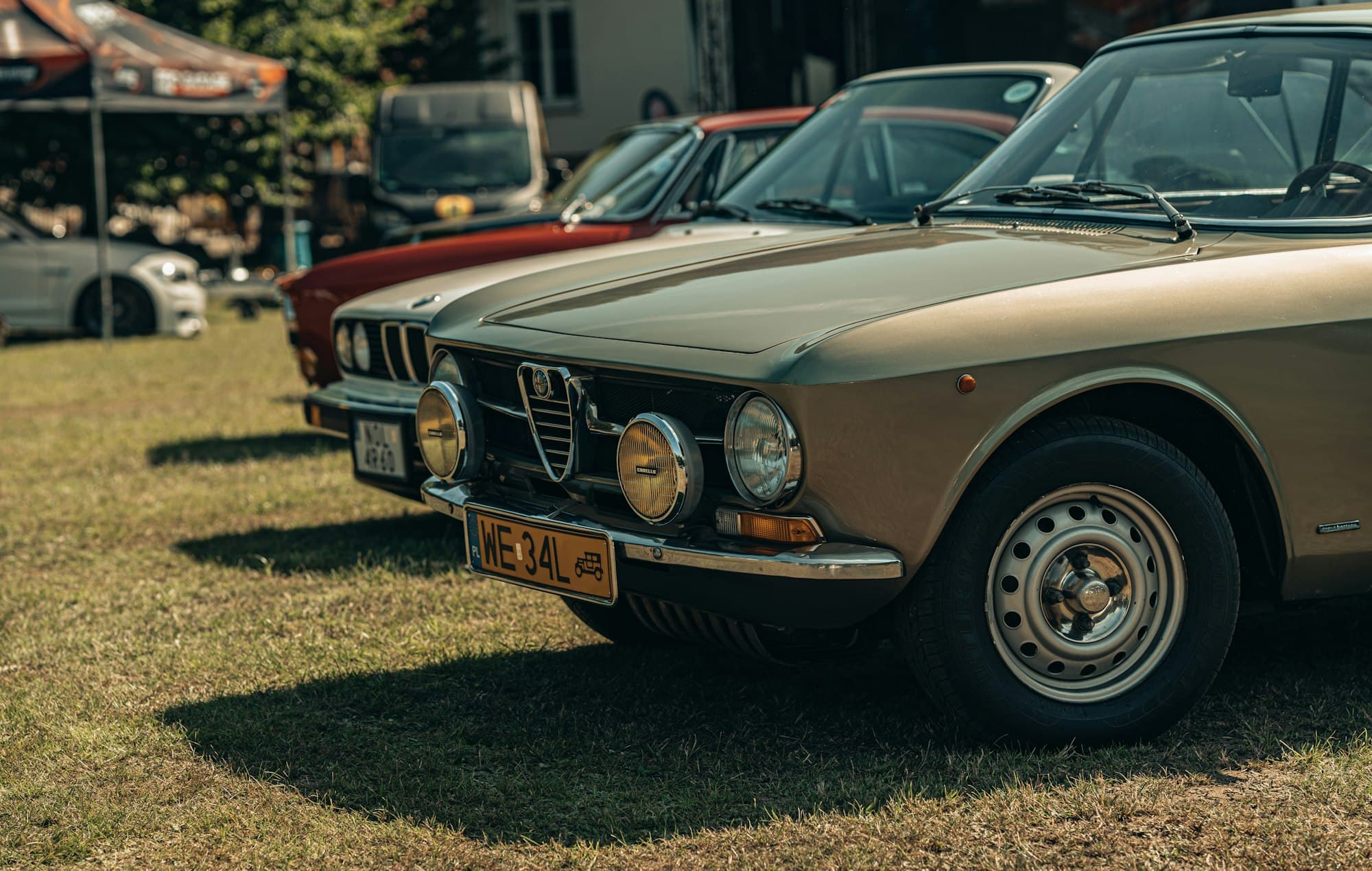 Alfa Romeo Giulia 105 Alfa Romeo Giulia 105, Modellporträt